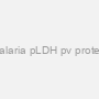 Malaria pLDH pv protein